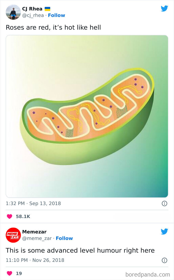 Shouldn't It Be In Black And White And Barely Able To See?