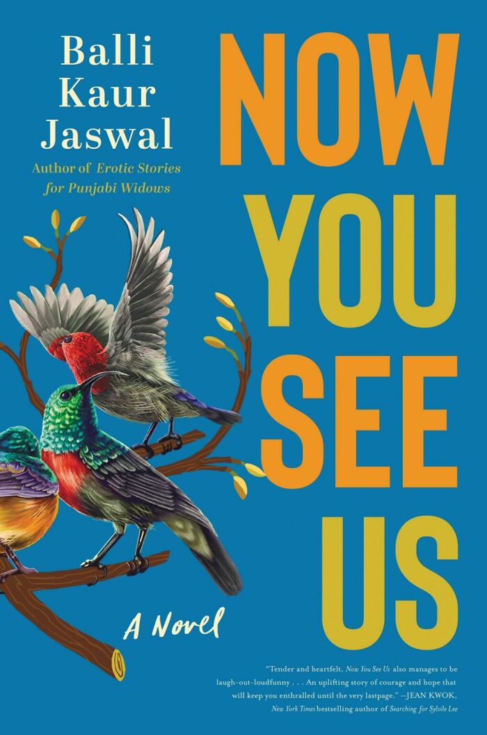 Now You See Us By Balli Kaur Jaswal