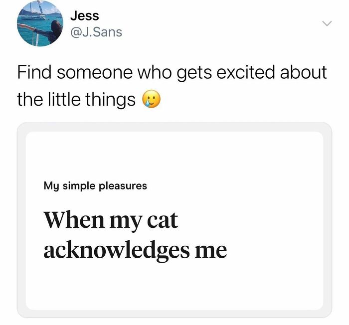 Wholesome-Memes-Hurtingsouls