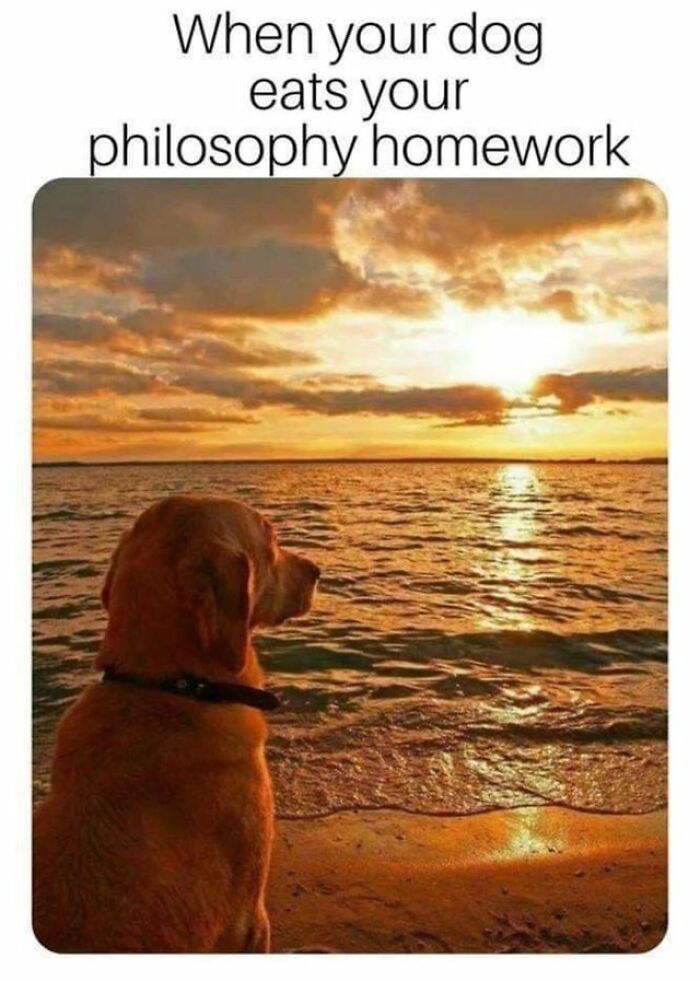 Funny-College-Memes-Humor-State-University