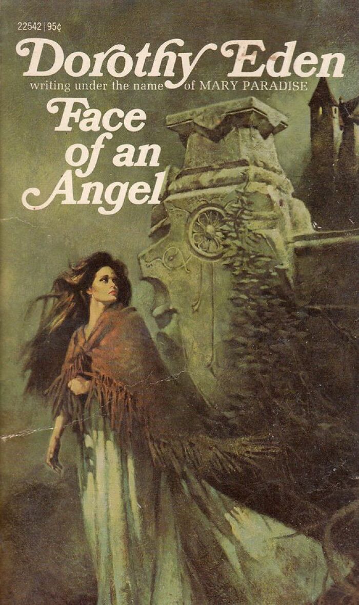 Face Of An Angel book cover 