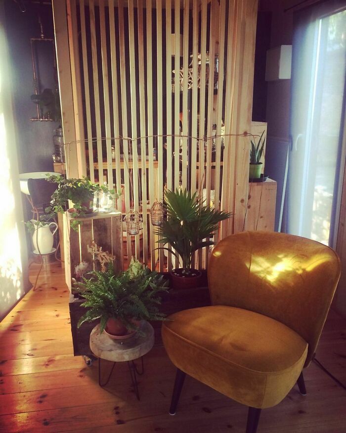 Yellow chair next to a plant 