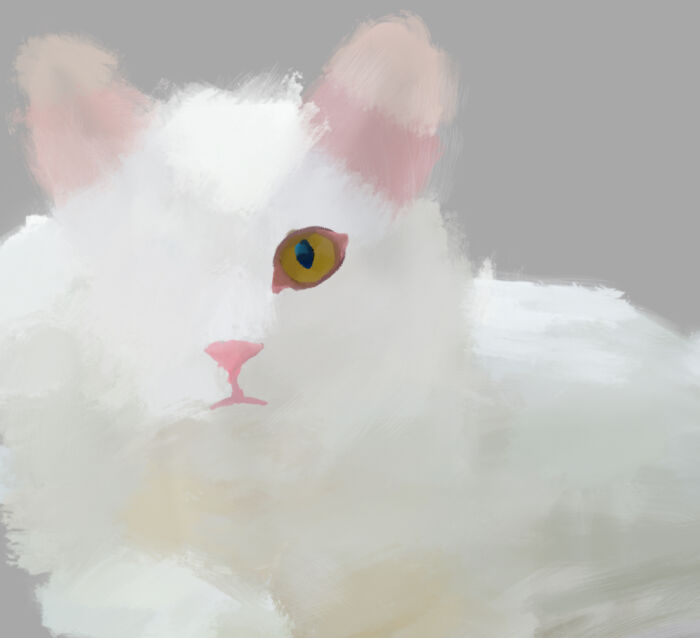 Fluffy White Cato