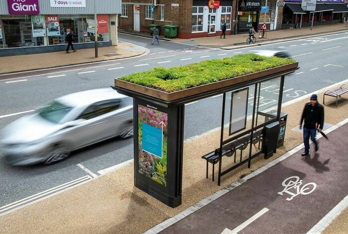 The City Of Leicester Starts Turning Bus Stops Into “Bee Stops”