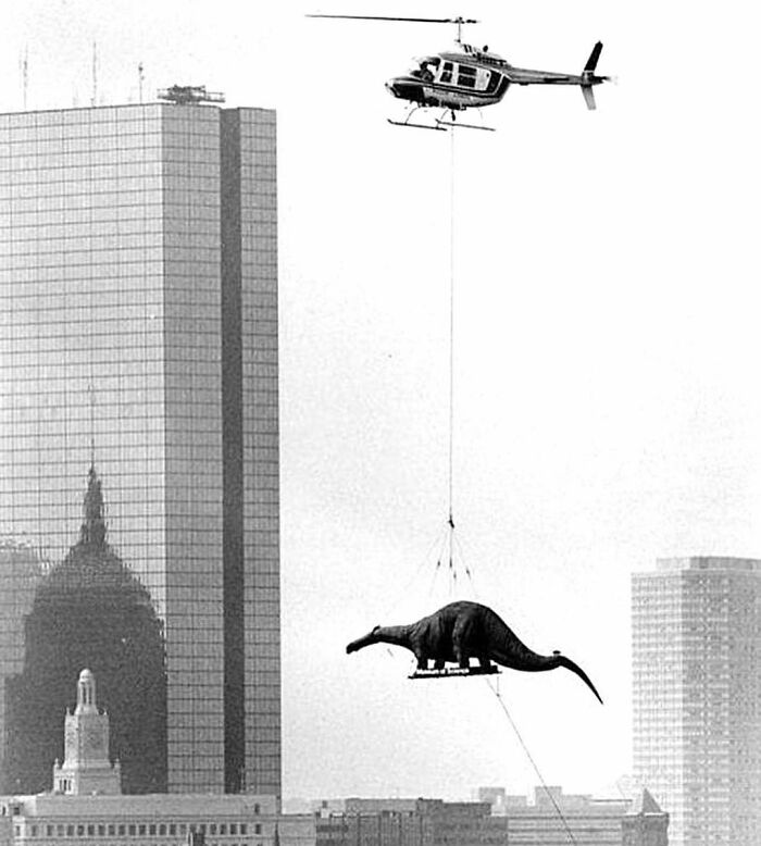 Dinosaur Being Delivered To The Museum Of Science. Boston Massachusetts 1984