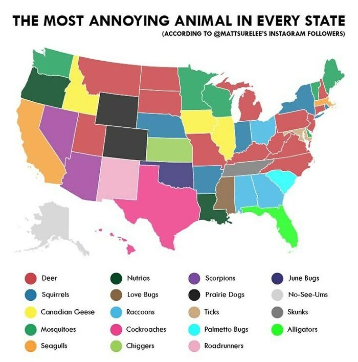 Most Annoying Animals In Every State According To You Animals