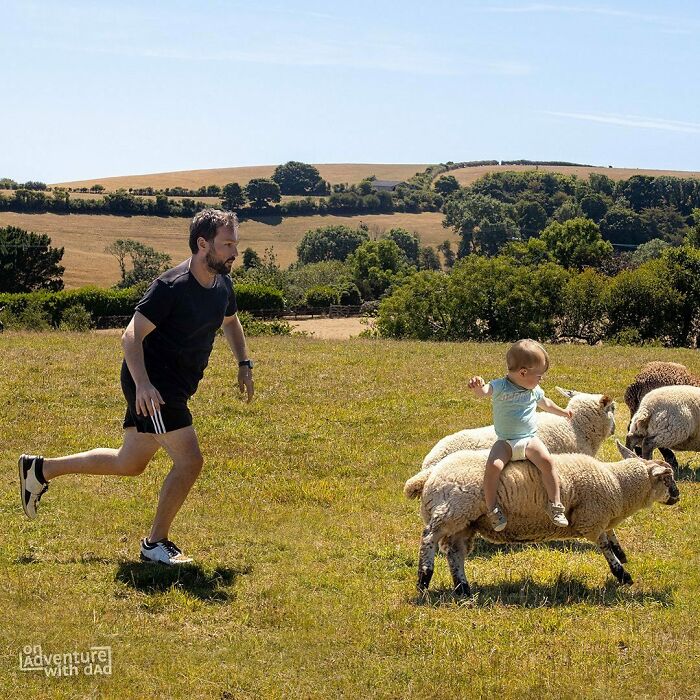 We Are Travelling The UK At The Moment So I Couldn’t Refuse Stopping At One Of These Beautiful Fields Filled With Sheep. Aster Thought They Were So Friendly She Decided To Have A Ride On One Of The Sheep. I Don’t Know If The Sheep Liked It, But I Bet She Did