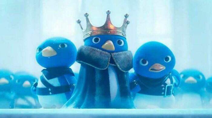 Could-Be-Album-Covers-Pics