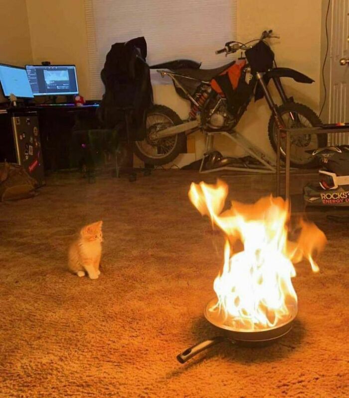 Could-Be-Album-Covers-Pics