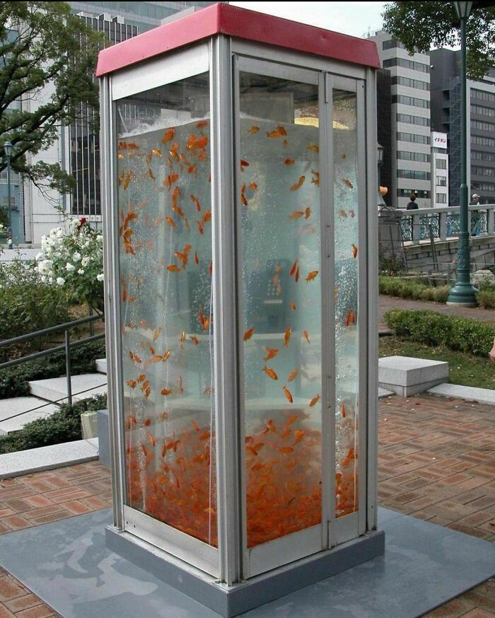 Could-Be-Album-Covers-Pics