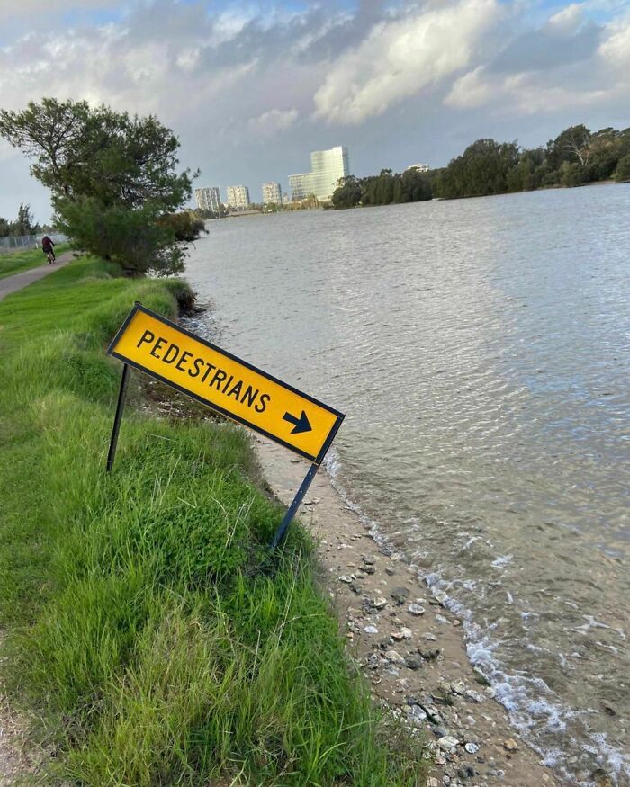 Could-Be-Album-Covers-Pics