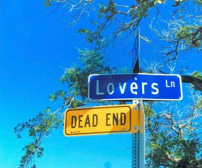 Could-Be-Album-Covers-Pics