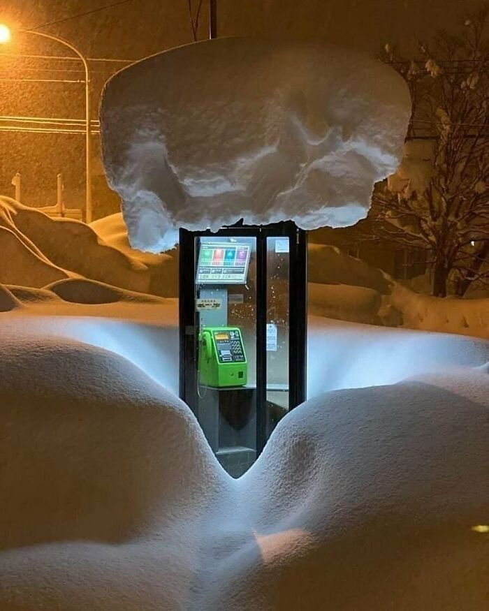 Could-Be-Album-Covers-Pics