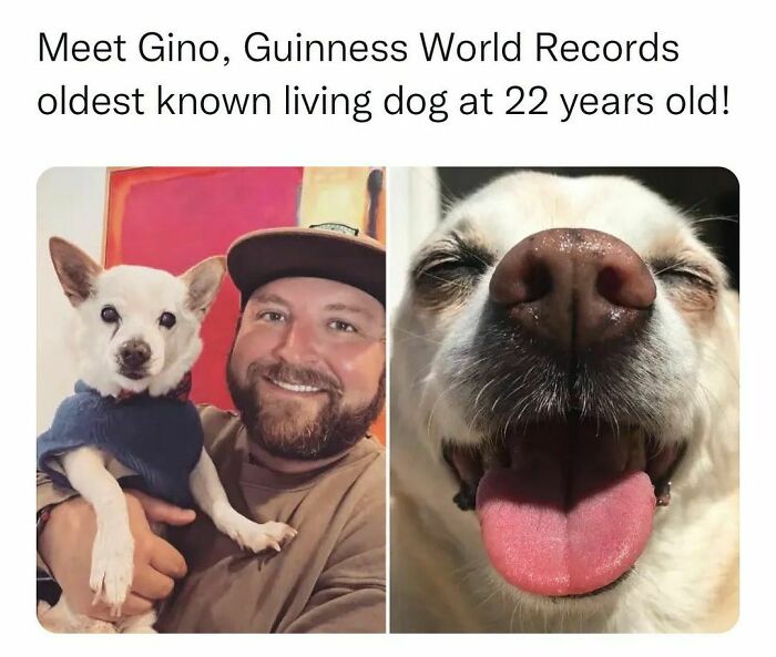 Wholesome-Memes-Hurtingsouls