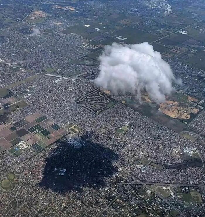 Could-Be-Album-Covers-Pics