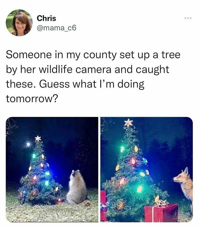 Wholesome-Memes-Hurtingsouls