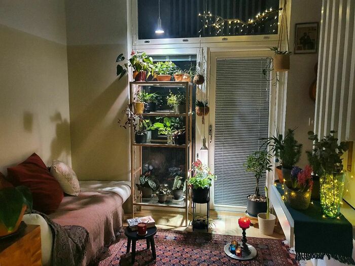 Cozy tiny house design featuring a lush indoor garden and ambient lighting.