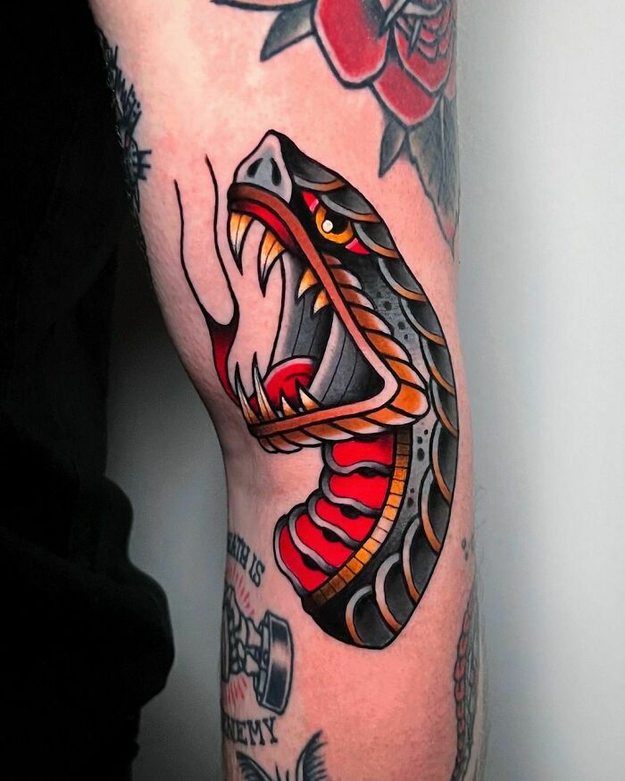 American traditional tattoo of a snake with bold colors and detailed design on arm.