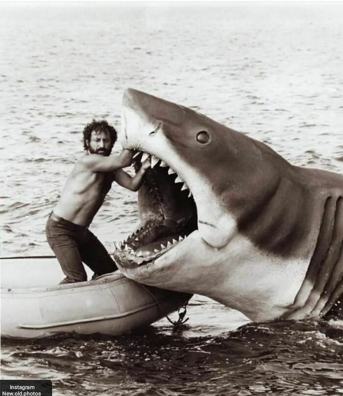 Open Wide. Production Designer Joe Alves Making Repairs To The Mechanical Shark In “Jaws”