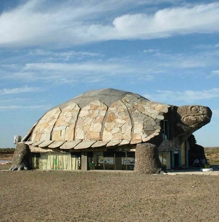 Bar en forma de tortuga en el desierto. Bayanzag, Mongolia