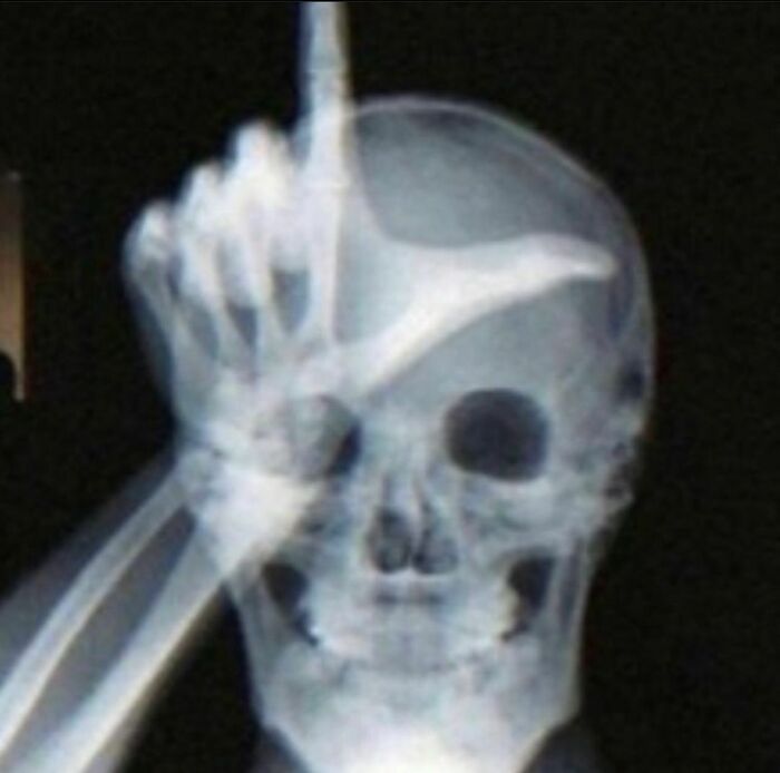 Could-Be-Album-Covers-Pics