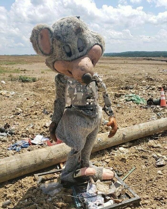 Could-Be-Album-Covers-Pics