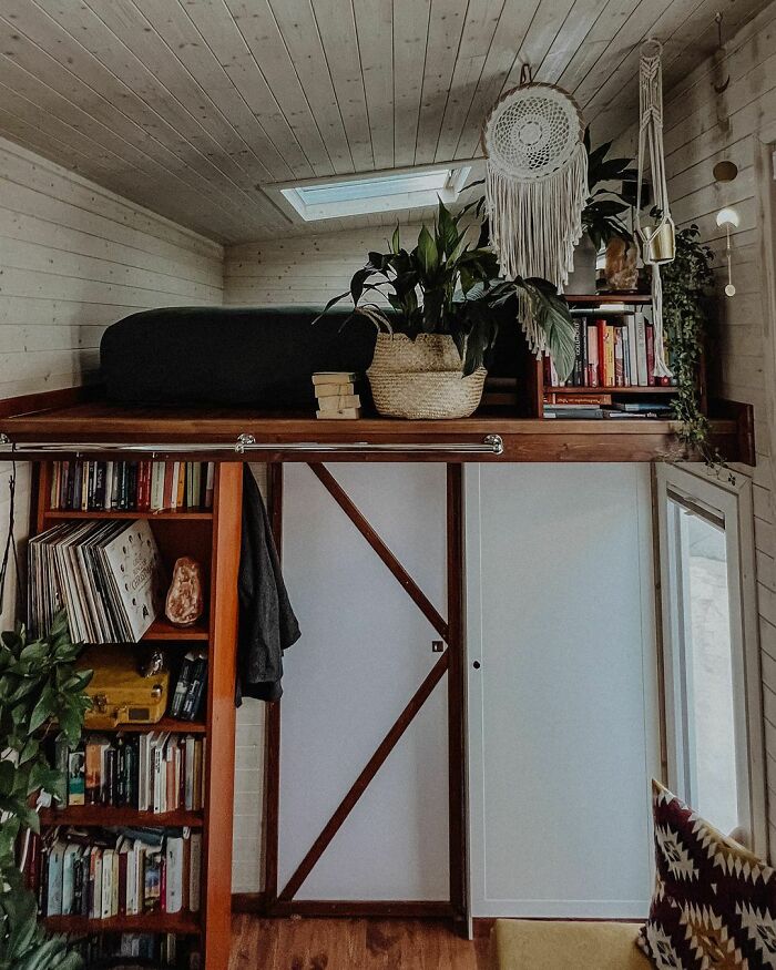 Cozy tiny house interior with a loft bed, bookshelf, and plants, showcasing creative design ideas.