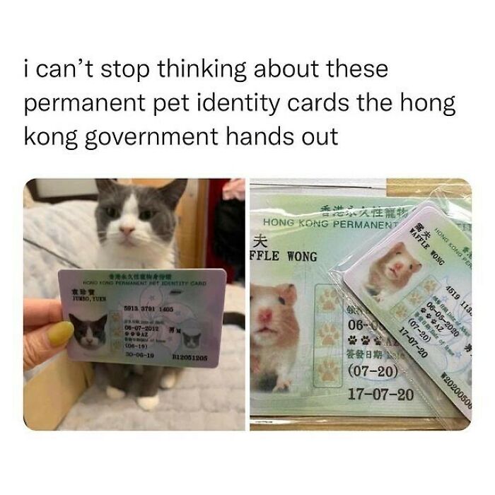 Wholesome-Memes-Hurtingsouls