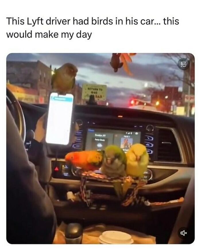 Wholesome-Memes-Hurtingsouls