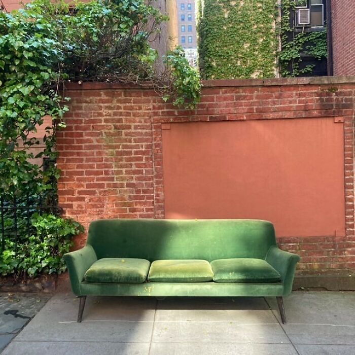 The Wes Anderson Trend Has Made It To Stooping. Emerald Velvet Room & Board Sofa 159 Willow St Brooklyn Heights. Could Use A Cleaning 