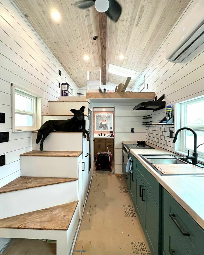 Modern tiny house interior with wood accents, sleek kitchen, and dog lounging on stairs.