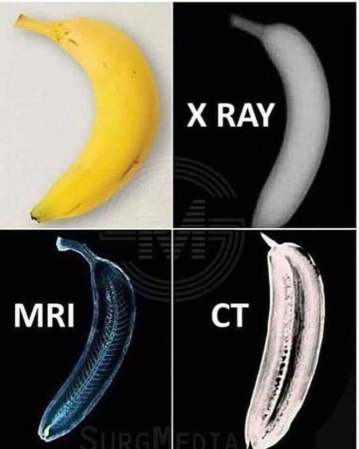 Could-Be-Album-Covers-Pics