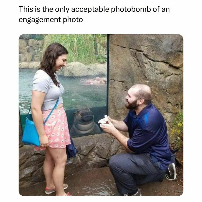 Wholesome-Memes-Hurtingsouls