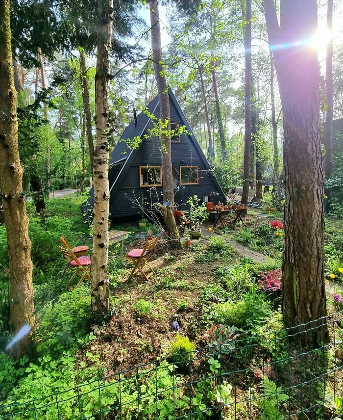 A-frame tiny house nestled in a lush forest garden with sunlight filtering through the trees.