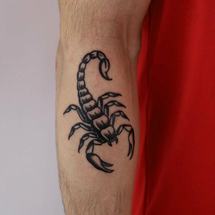 American traditional scorpion tattoo on a forearm, showcasing bold lines and classic design.