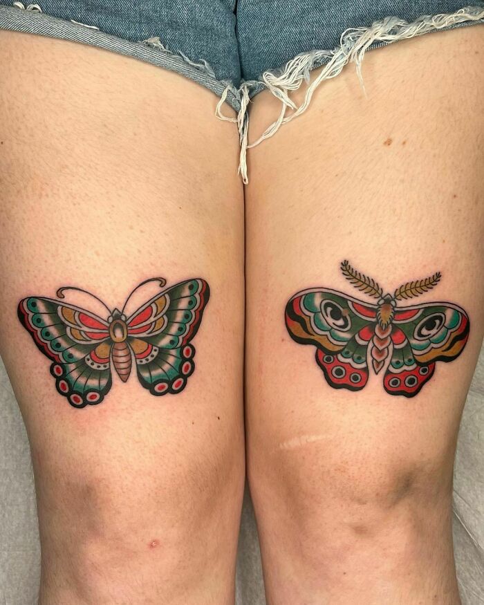 Matching Moth And Butterfly For Alex