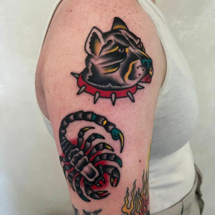 Colorful American traditional tattoo of a cat's head and scorpion on a person's arm, showcasing bold lines and vibrant colors.