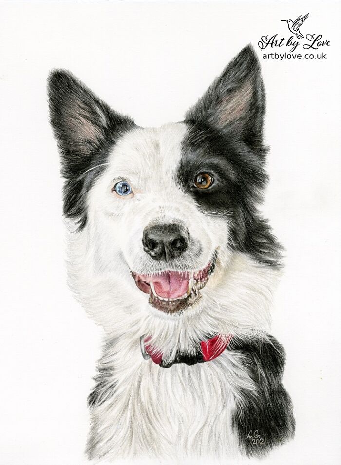 I Specialize In Pet Art, And Here Are 5 Of My Drawings Of Dogs I Specialize In Pet Art, And Here Are 5 Of My Drawings Of Dogs