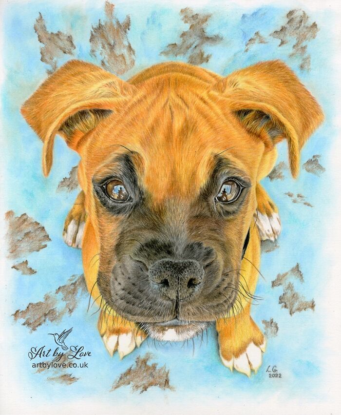 I Specialize In Pet Art, And Here Are 5 Of My Drawings Of Dogs