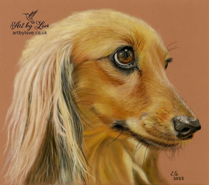 I Specialize In Pet Art, And Here Are 5 Of My Drawings Of Dogs