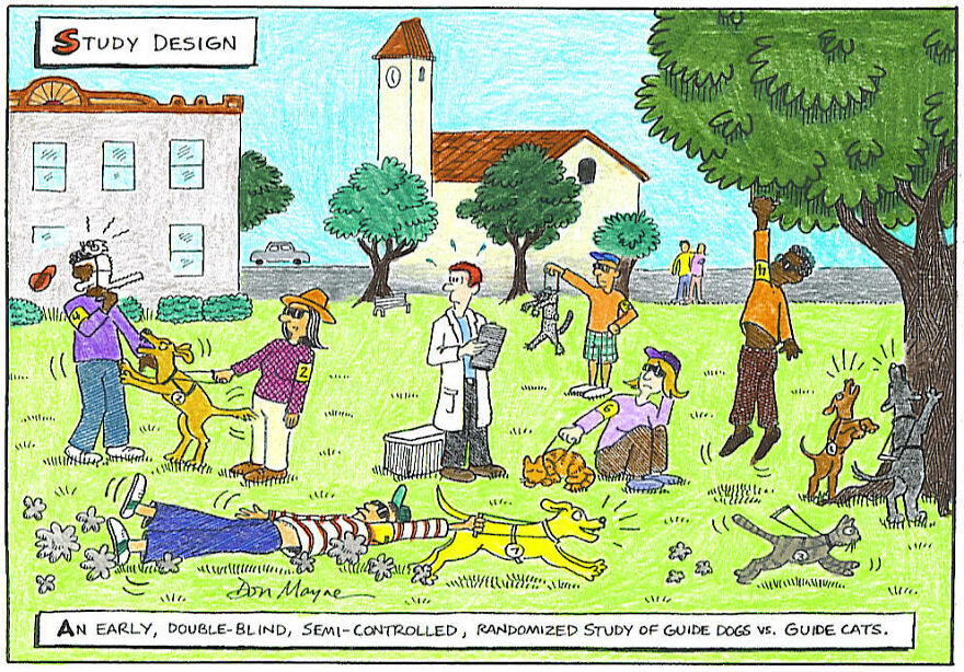 Which Is Better? Guide Dogs Or Gude Cats?