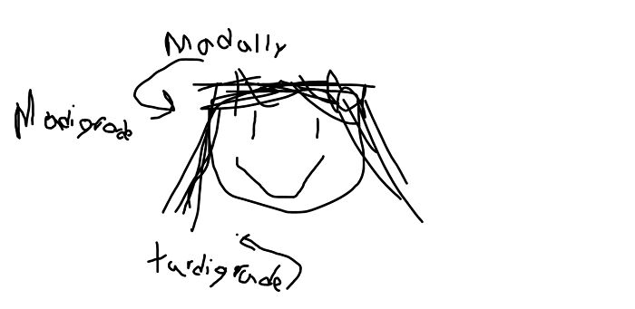 Look At The Beutifal Creation I Created