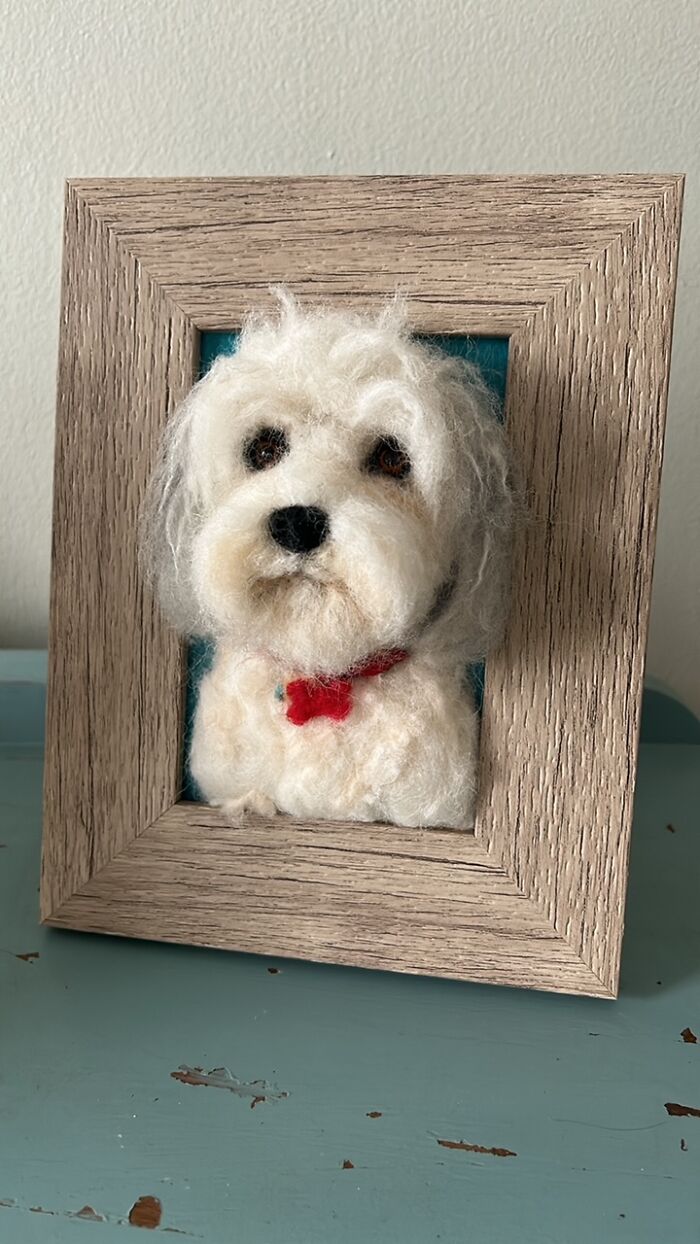 Artist Warms The Hearts Of Tutors With Felt Dolls Of Their Pets