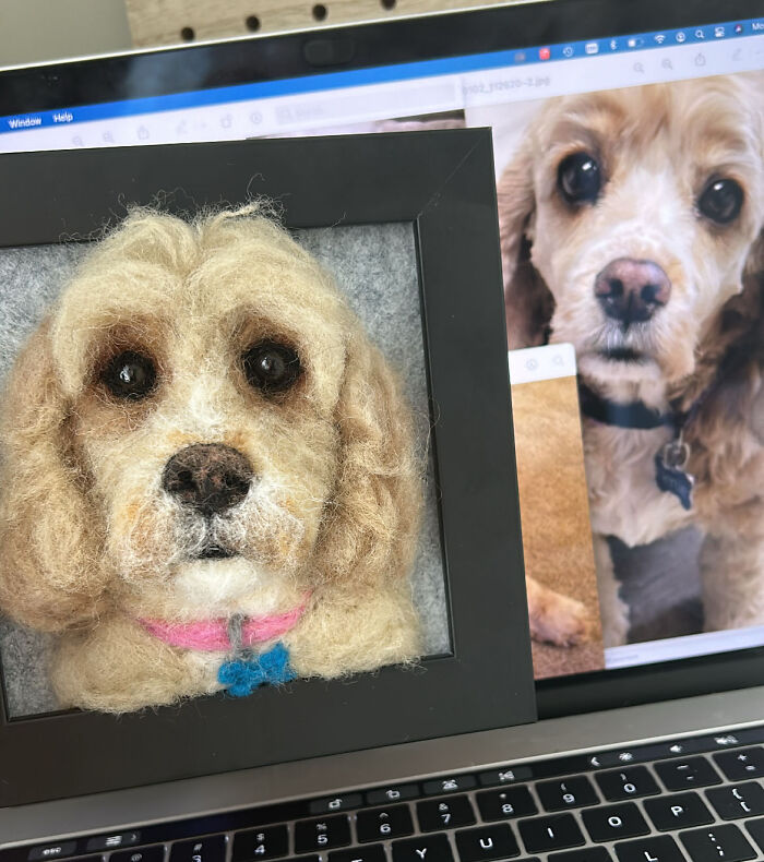 Artist Warms The Hearts Of Tutors With Felt Dolls Of Their Pets