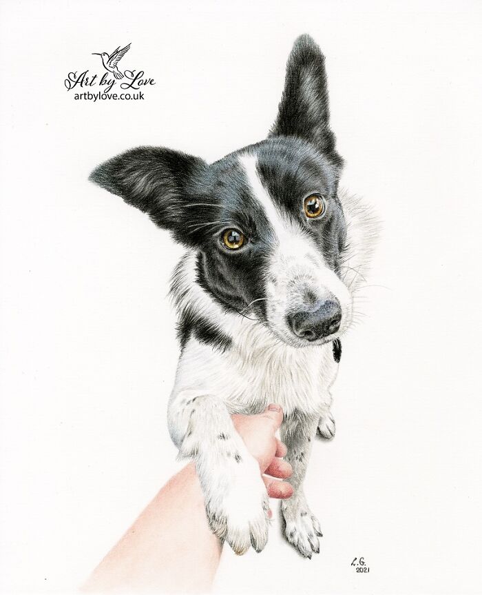 I Specialize In Pet Art, And Here Are 5 Of My Drawings Of Dogs I Specialize In Pet Art, And Here Are 5 Of My Drawings Of Dogs