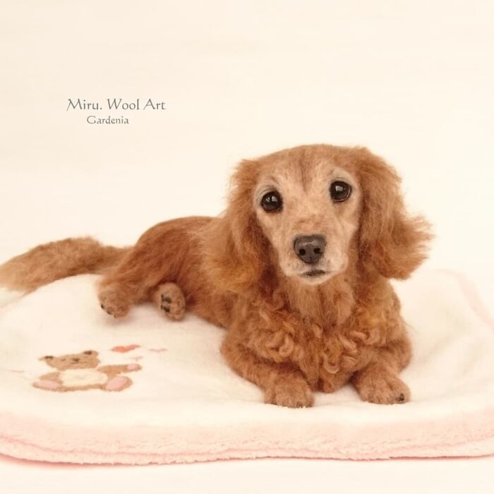 Hard To Believe These Animals Are Not Real But Made Of Wool (New Pics)