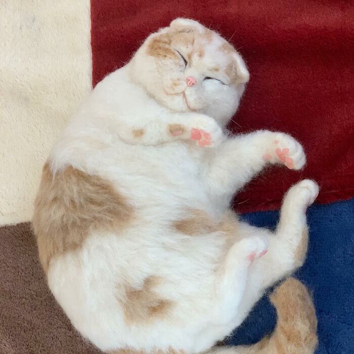 Hard To Believe These Animals Are Not Real But Made Of Wool (New Pics)