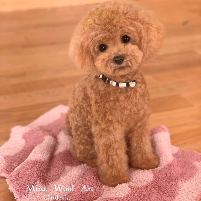 Hard To Believe These Animals Are Not Real But Made Of Wool (New Pics)