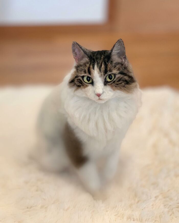 Hard To Believe These Animals Are Not Real But Made Of Wool (New Pics)