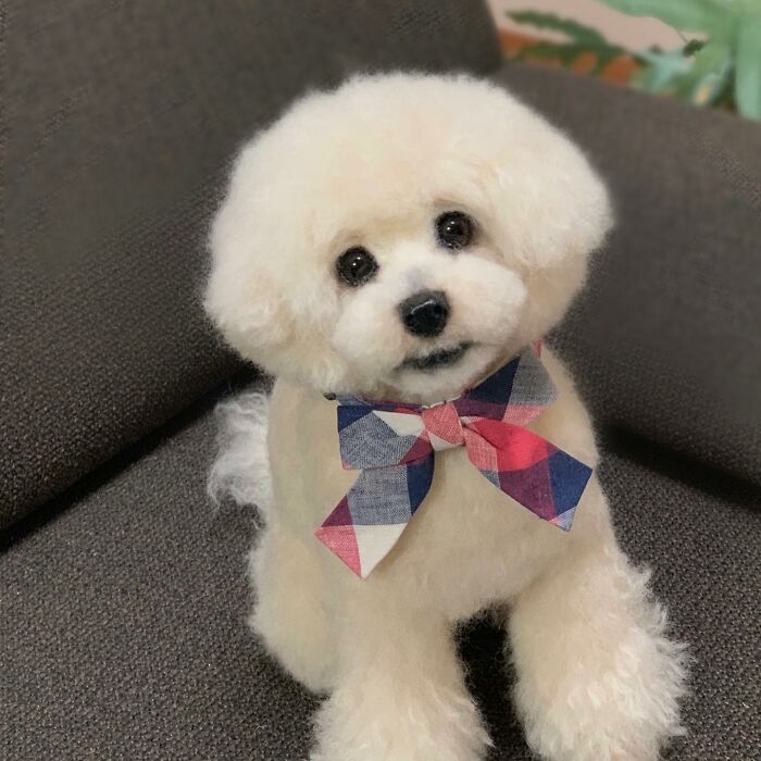 Hard To Believe These Animals Are Not Real But Made Of Wool (New Pics)